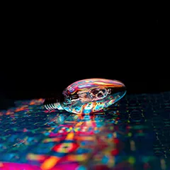 金年会